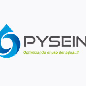 PRODUCTOS Y SERVICIOS PARA LA INDUSTRIA S.A.C. | PYSEIN