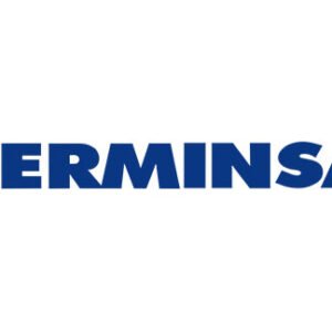 SERVICIOS MINEROS S A | SERMINSA