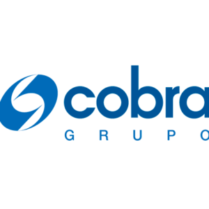 COBRA PERU S.A